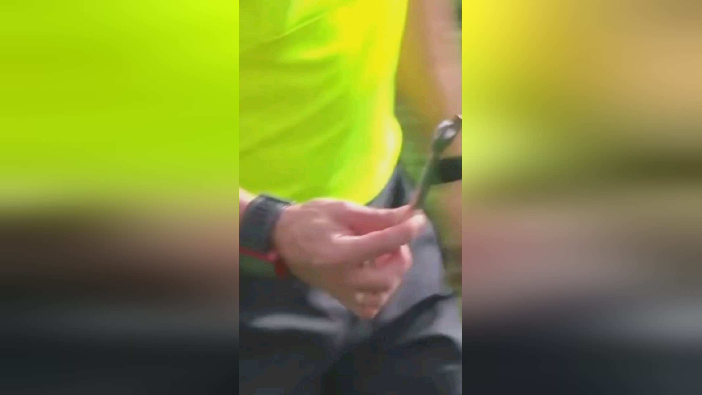种两极化
